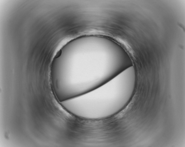 X0000096451374200801241130