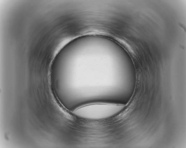 X0000096451375200801241130