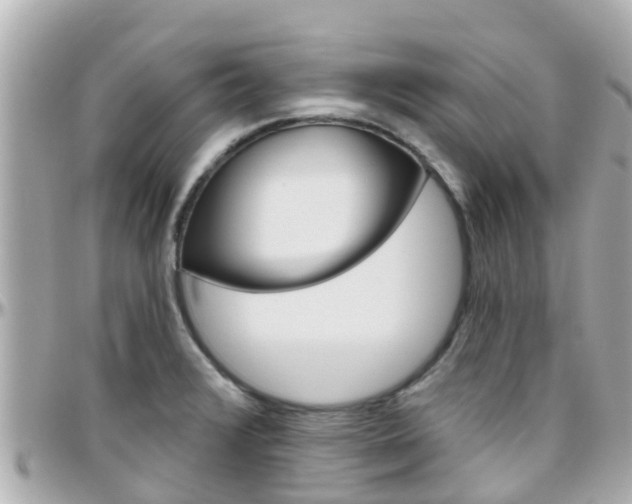 X0000096451376200801241130