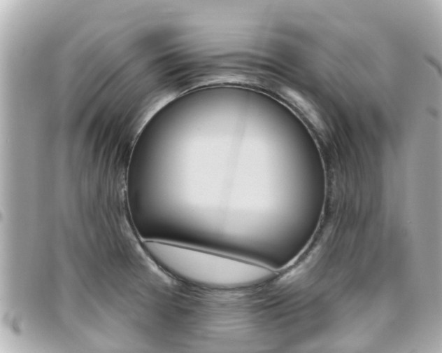 X0000096451377200801241130