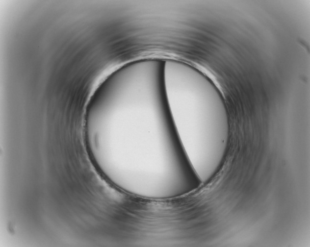 X0000096451379200801241130