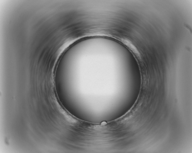 X0000096451380200801241130