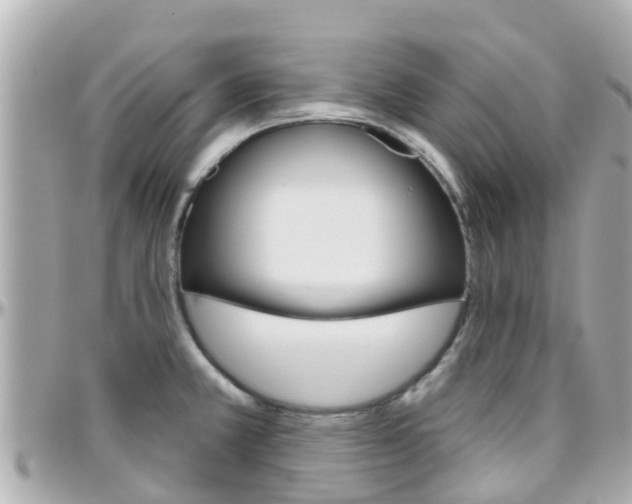 X0000096451381200801241130