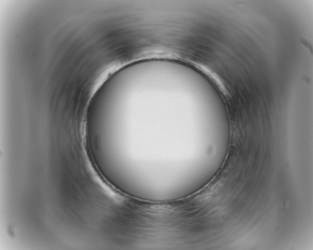 X0000096451383200801241130