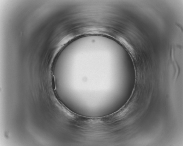 X0000096451384200801241130