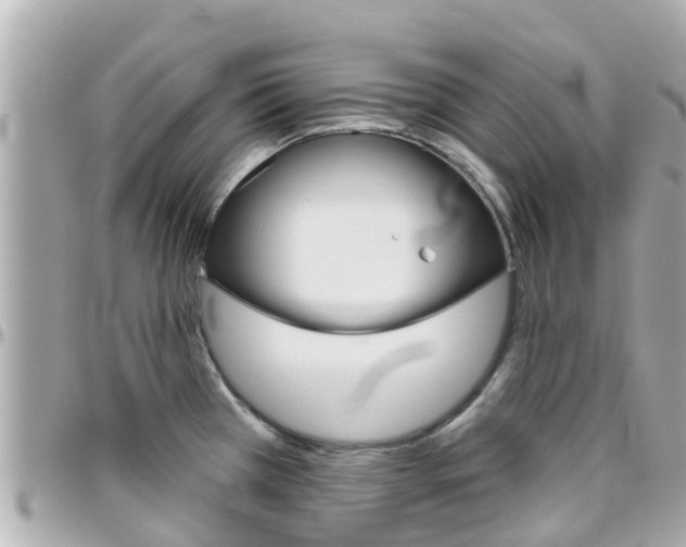 X0000096451385200801241130