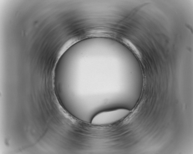 X0000096451386200801241130