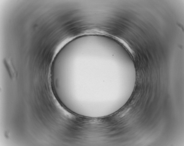 X0000096451387200801241130