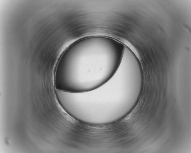 X0000096451388200801241130