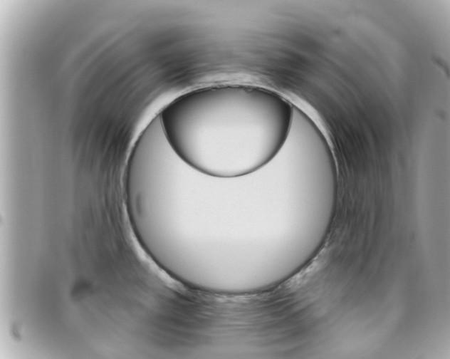 X0000096451389200801241130