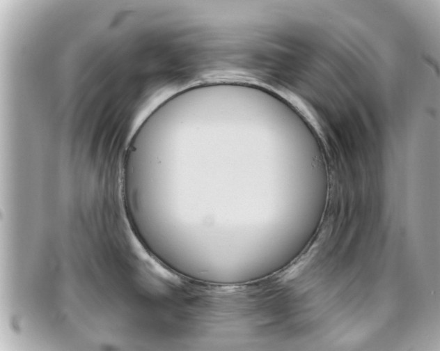 X0000096451390200801241130