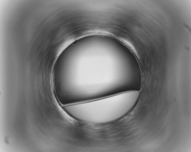 X0000096451391200801241130