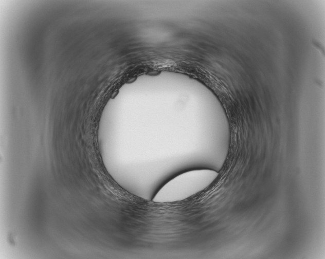 X0000096451393200801241129