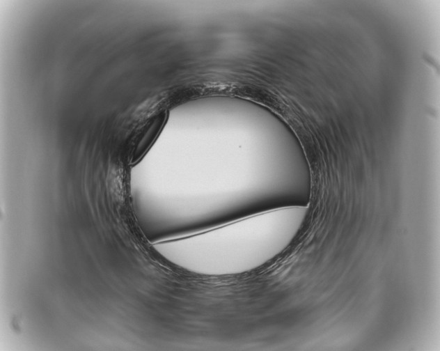 X0000096451394200801241129