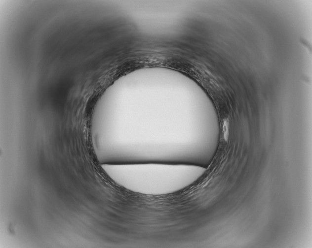 X0000096451395200801241129