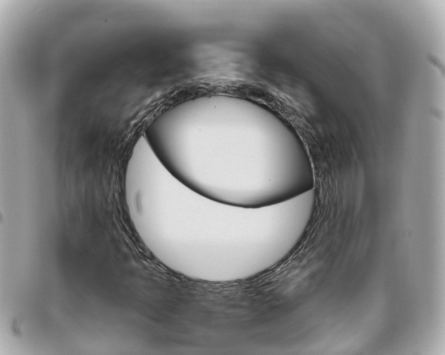 X0000096451397200801241129