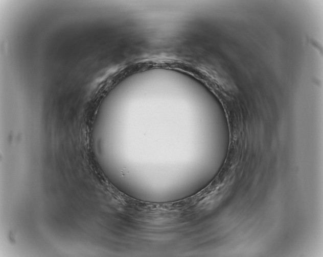 X0000096451398200801241129