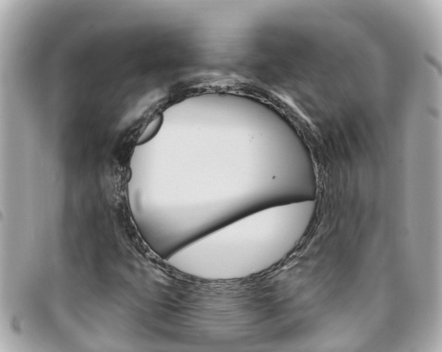 X0000096451399200801241129