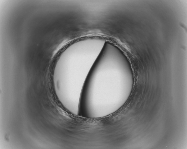 X0000096451400200801241129