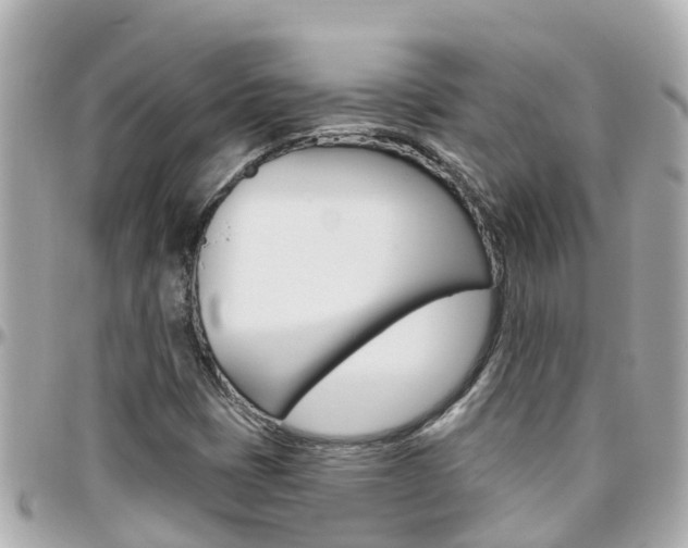 X0000096451401200801241129