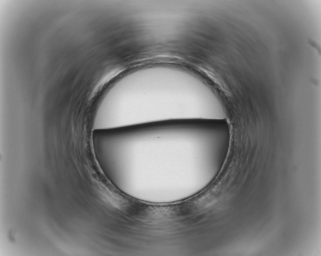 X0000096451402200801241129