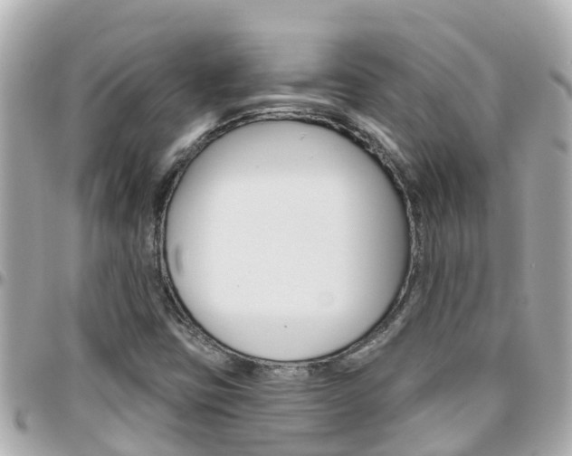 X0000096451403200801241129