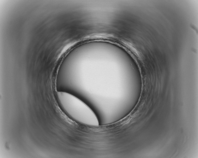 X0000096451404200801241129