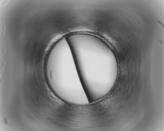 X0000096451408200801241130