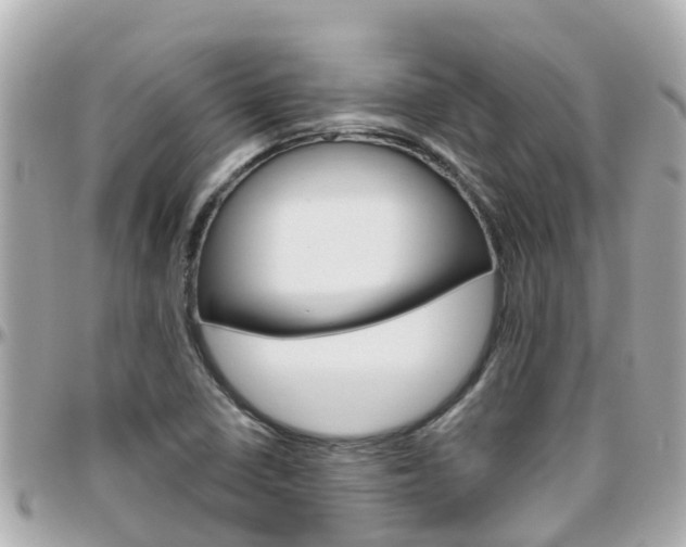 X0000096451410200801241130