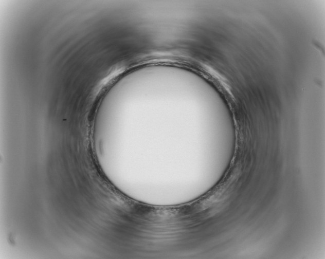 X0000096451411200801241130