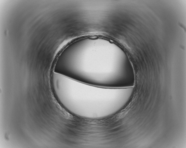 X0000096451412200801241130