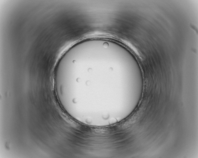 X0000096451413200801241130