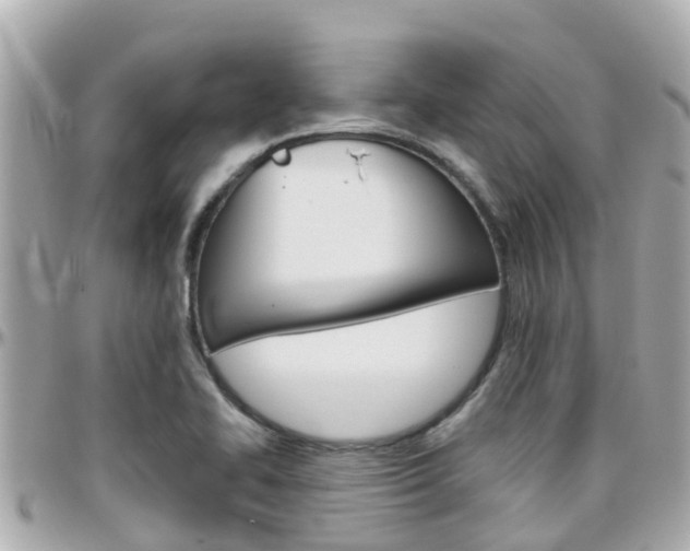 X0000096451414200801241130