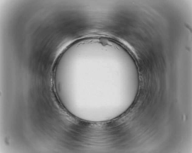 X0000096451415200801241130