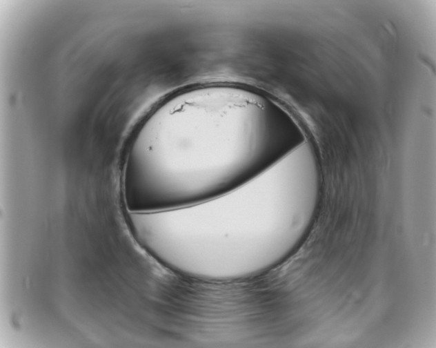 X0000096451416200801241130