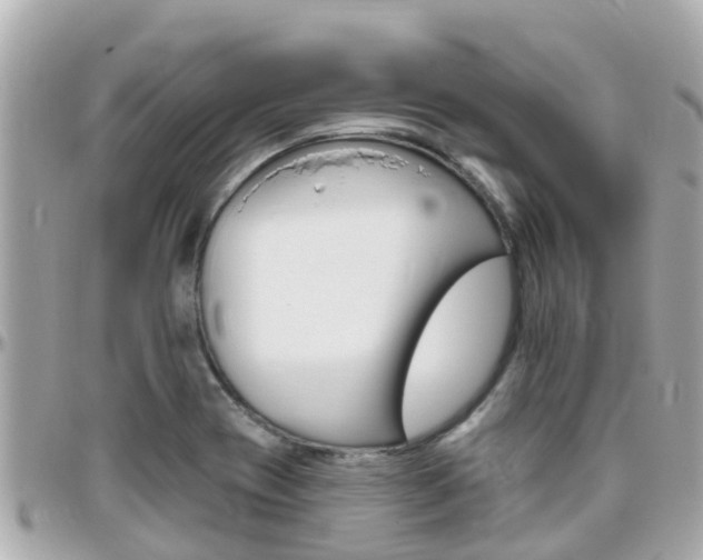 X0000096451417200801241130