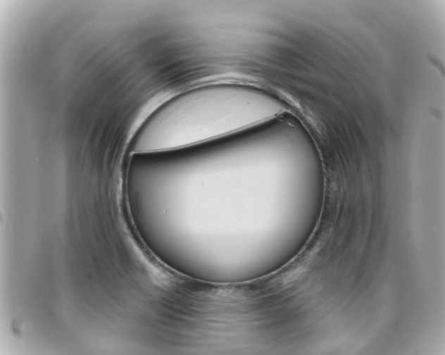 X0000096451418200801241130