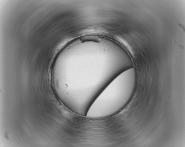 X0000096451419200801241130