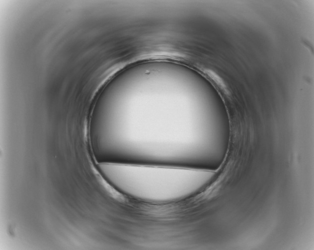 X0000096451420200801241130