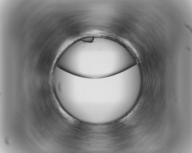 X0000096451421200801241130