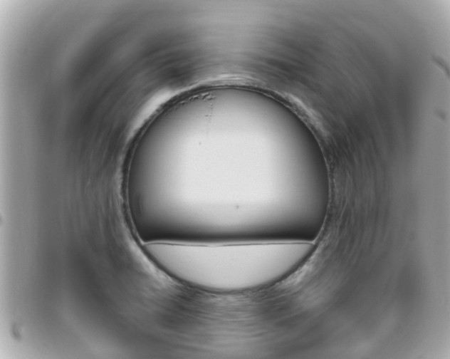 X0000096451422200801241130