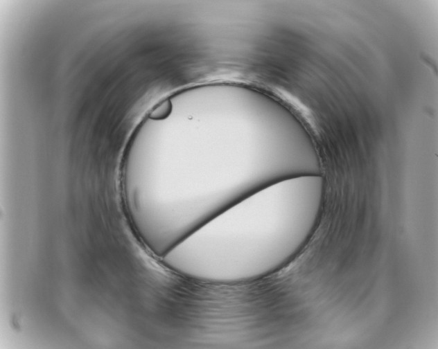 X0000096451423200801241130