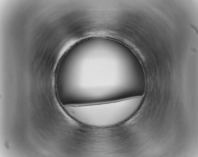 X0000096451424200801241130