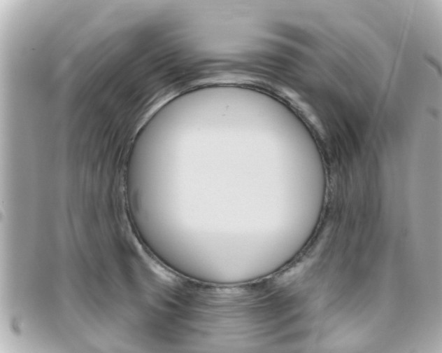 X0000096451425200801241130