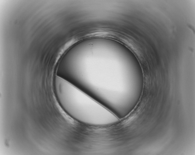 X0000096451426200801241130