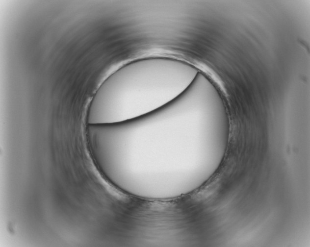 X0000096451429200801241130