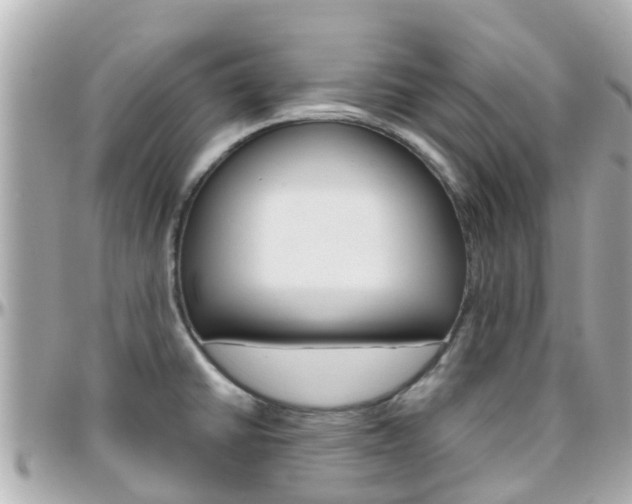 X0000096451430200801241130
