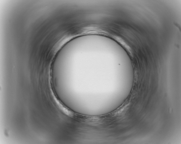 X0000096451431200801241130