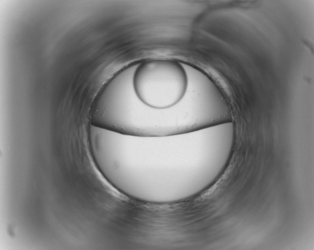 X0000096451432200801241130