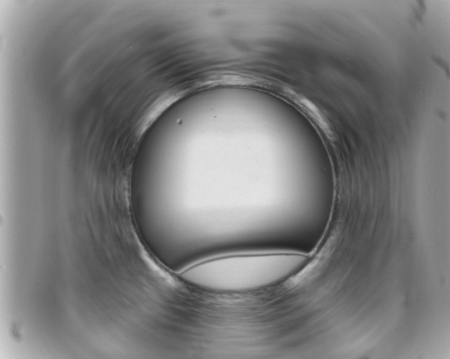 X0000096451433200801241130